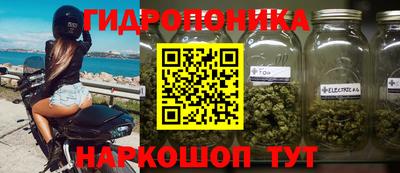 ПСИЛОЦИБИНОВЫЕ ГРИБЫ Кандалакша