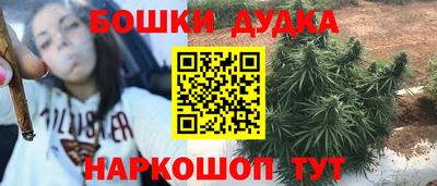 ПСИЛОЦИБИНОВЫЕ ГРИБЫ Кандалакша