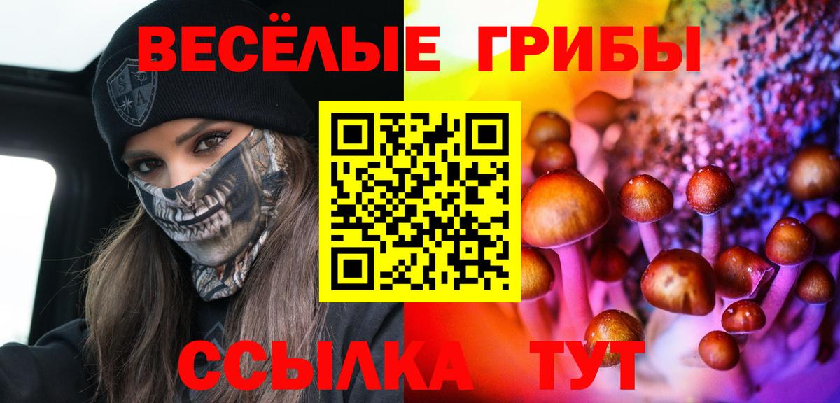 Галлюциногенные грибы Magic Shrooms Шахты